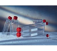 Greiner bio-one 660190, borraccia per coltura in sospensione Cellstar 182 cm2 standard Cap, Low Form