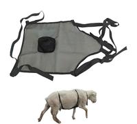Grembiule per capre anti allevamento, Grembiule per capre anti allevamento,Gonna anti-accoppiamento | Forniture per animali, abbigliamento per bestiame con cinturino regolabile, gonna per animali anti