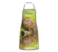 Grembiule Uomo Cute Red Squirrel Near The Water Reflection Divertenti Grembiule Da Cucina Impermeabile Cuoco Grembiuli Per Giardinaggio Caffè Papa 52X72Cm