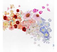 Gretchen Parlato Flor (Vinyl LP) 12" Album