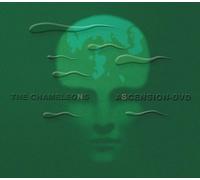 Gretchen Peters - Gretchen Peters