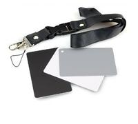 GREY CARD CARTE PER IL BILANCIAMENTO DEL BIANCO