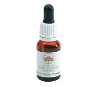 Green Remedies Grey Spider Flower Australian 15ml