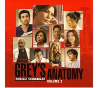 Grey S Anatomy Volume 2: Origin
