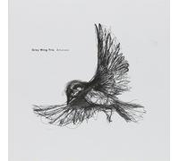 Grey Wing Trio - Amoroso