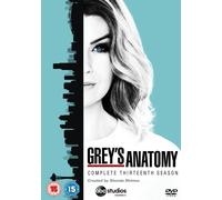 Grey's Anatomy - Season 13