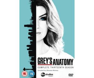 Grey's Anatomy: Complete Thirteenth Season (DVD)