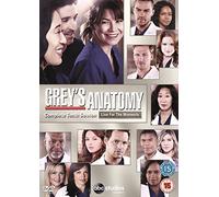 Grey's Anatomy - Season 10 [Edizione: Regno Unito]