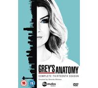 Grey's Anatomy - Season 13