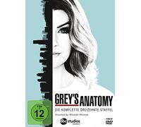 Grey's Anatomy - Staffel 13