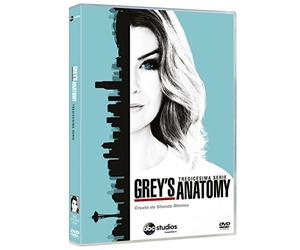 Grey's Anatomy Stagione 13 (6 DVD)