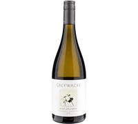 Greywacke Sauvignon Wild 2019