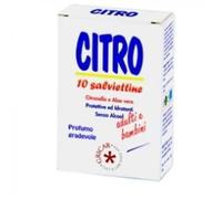 Gricar Chemical CITRO Z SALVIETTE 10 PEZZI