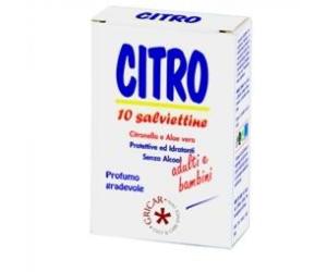 Gricar Chemical CITRO Z SALVIETTE 10 PEZZI
