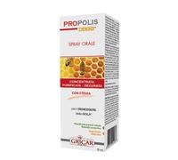 Gricar Chemical PROPOLIS AD SPRAY ORALE 15 ML