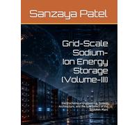 Grid-Scale Sodium-Ion Energy Storage (Volume-III): Electrochemical Engineering, System Architecture, and the Economics of the 100MWh Plant: 3
