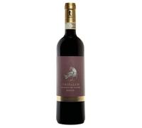 Grifalco Damaschito Aglianico del Vulture DOCG Superiore 2021 0,75 ℓ
