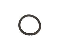 Grifo Macchine Enologiche Guarnizione filtro per spremi n3 Guarnizione filtro per spremi n3