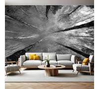 Grigio Carta da Parati Bosco di betulle e cielo Fotomurali Effetto 3D Poster 450 x 315 cm Murale Poster Moderna Decor per Camera da letto Camera dei Bambini Soggiorno