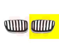 Griglia Anteriore Adatta Per BMW X5 E53