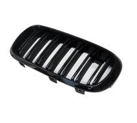 griglia anteriore auto Griglia Per Rene Anteriore In Fibra Di Carbonio F15 F16 Per BMW X5 X6 F15 F16 2015-2019 XDrive35i XDrive40i XDrive50i XDrive25d Cofano Griglia(ABS)