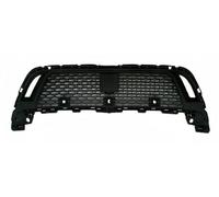 Griglia Anteriore Cruise Control Telecamera Per Discovery Sport 2019- R-Dynamic