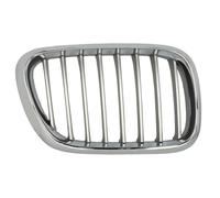 Griglia Anteriore Destro BLIC Per BMW X5 E53 05.00-12.03 6502-07-0095992P