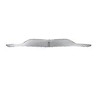 Griglia Anteriore Per Bentley Per GT 2016 2017 2018 Kit Griglia Paraurti Anteriore Inferiore Mesh Grill Accessori Auto Griglia Auto(Silver bumper grille)