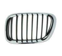 Griglia Anteriore Sinistra BLIC Per BMW X5 E53 05.00-12.03 6502-07-0095991P