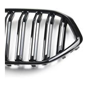 Griglia Anteriore Sportiva LLCTOOLS Nero Lucido per BMW X6 G06 F96 dal 2019