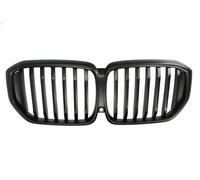 Griglia BLIC 6502-07-0098990P per BMW X5 (G05, F95) 3 2020-