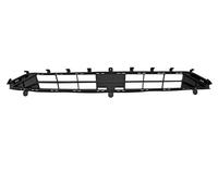 GRIGLIA CENTRALE INF PAR. ANT FORD FOCUS V 2018 2022