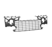 Griglia centrale paraurti anteriore per 307 2005-2007 senza fori cromature