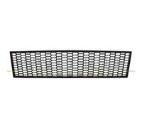 Griglia Centrale Paraurti Per Bmw 5 Series - F10/f11 M-tech Dal 2010 Al 2013