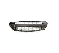 Griglia Centrale Paraurti per Peugeot 207 dal 04.2006 al 05.2009