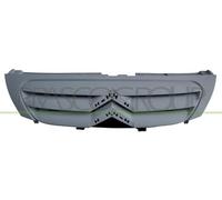 GRIGLIA CITROEN C3 10 05>10 09