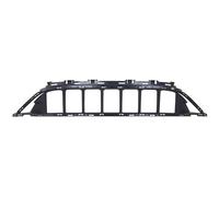 Griglia del radiatore adatta per accessori di tuning Mercedesdes W206,