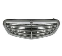 Griglia Del Radiatore Adatta Per: MERCEDES E-CLASS W212 02.13-05.16