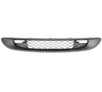 Griglia Del Radiatore Adatta Per: SMART FORTWO 451 01.07-07.14