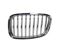 BLIC 6502-07-0067991GP Griglia radiatore