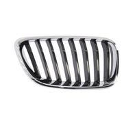 Griglia del radiatore BLIC 6502-07-0069992P destro