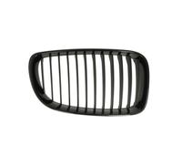 Griglia del radiatore BLIC 6502-07-0085998P destro