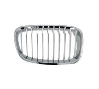 Griglia del radiatore BLIC 6502-07-0086994P destro