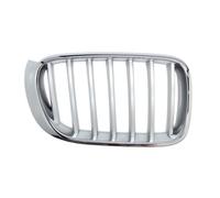 Griglia del radiatore BLIC 6502-07-00939966P destro