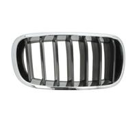 BLIC 6502-07-00969922P Griglia radiatore