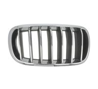 Griglia del radiatore BLIC 6502-07-00969944P destro