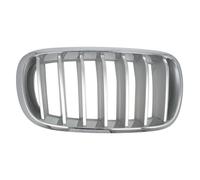 Griglia del radiatore BLIC 6502-07-00969966P destro