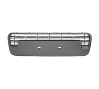 Griglia del radiatore BLIC 6502-07-0541992P