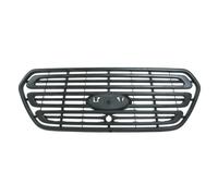 Griglia radiatore grigio scuro 6502-07-2518990P BLIC per FORD TRANSIT Autobus