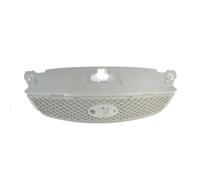 Griglia del radiatore BLIC 6502-07-2555995P